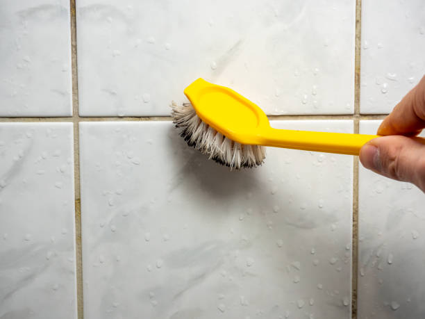 Richmond Heights, OH Mold Removal Company