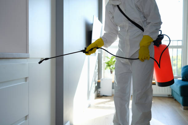 Certified Mold Removal in Richmond Heights, OH